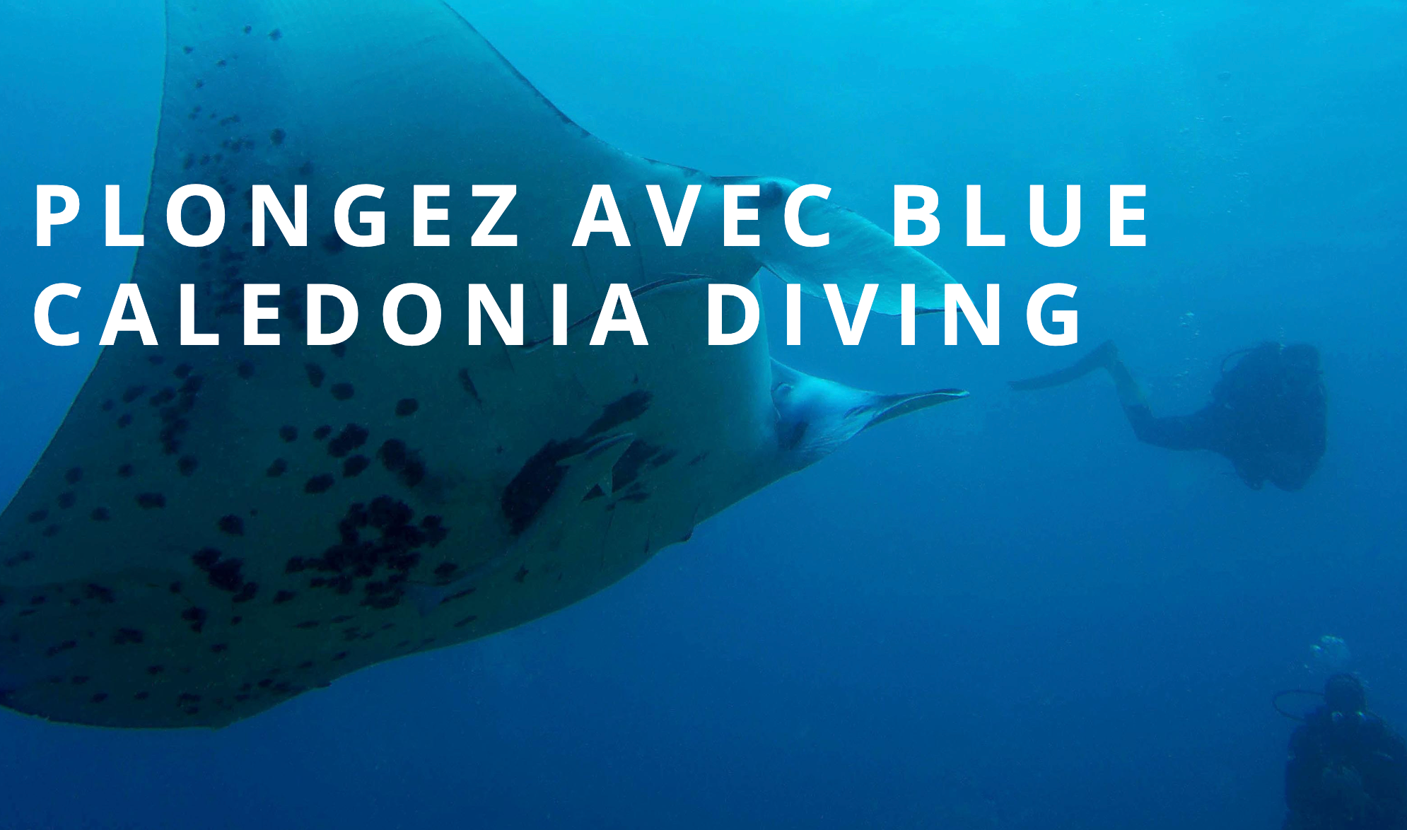 Clubs de plongée : ABYSS PLONGÉE, BLUE CALEDONIA DIVING